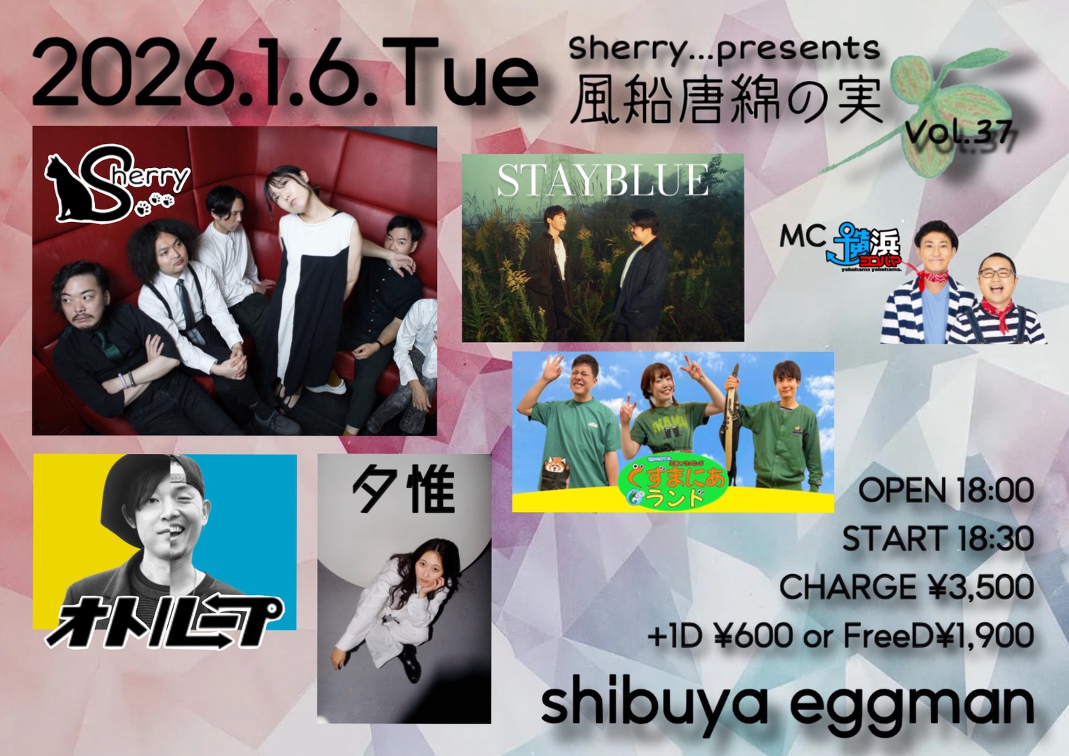 Sherry…presents 風船唐綿の実Vol.37