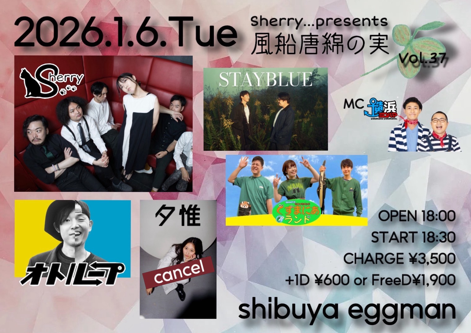 Sherry…presents 風船唐綿の実Vol.37